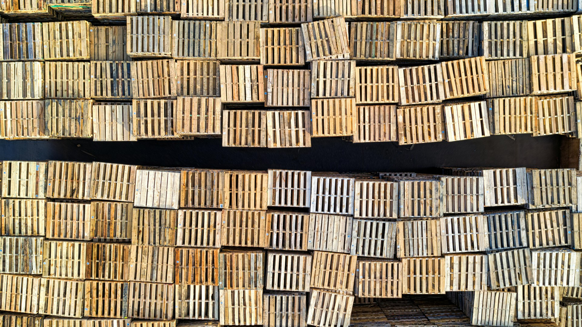 pexels-tomfisk-9498584